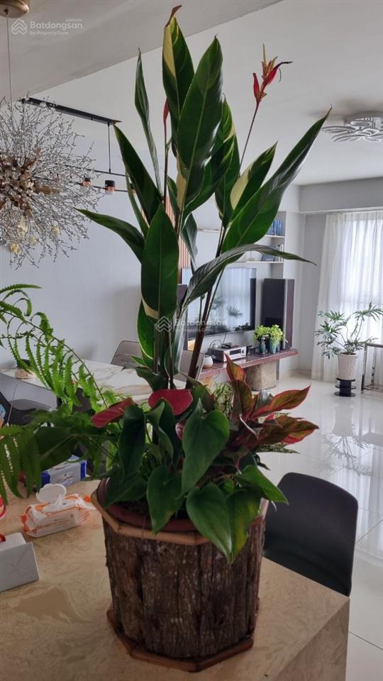 Cần bán căn góc 3pn 112m2  chỉ 4,5tỷ  chung cư the eastern  299 liên phường, q9 cũ, hcm