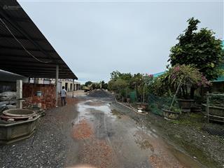 Nền thổ cư mặt tiền ql50 mặt tiền lớn 21m .