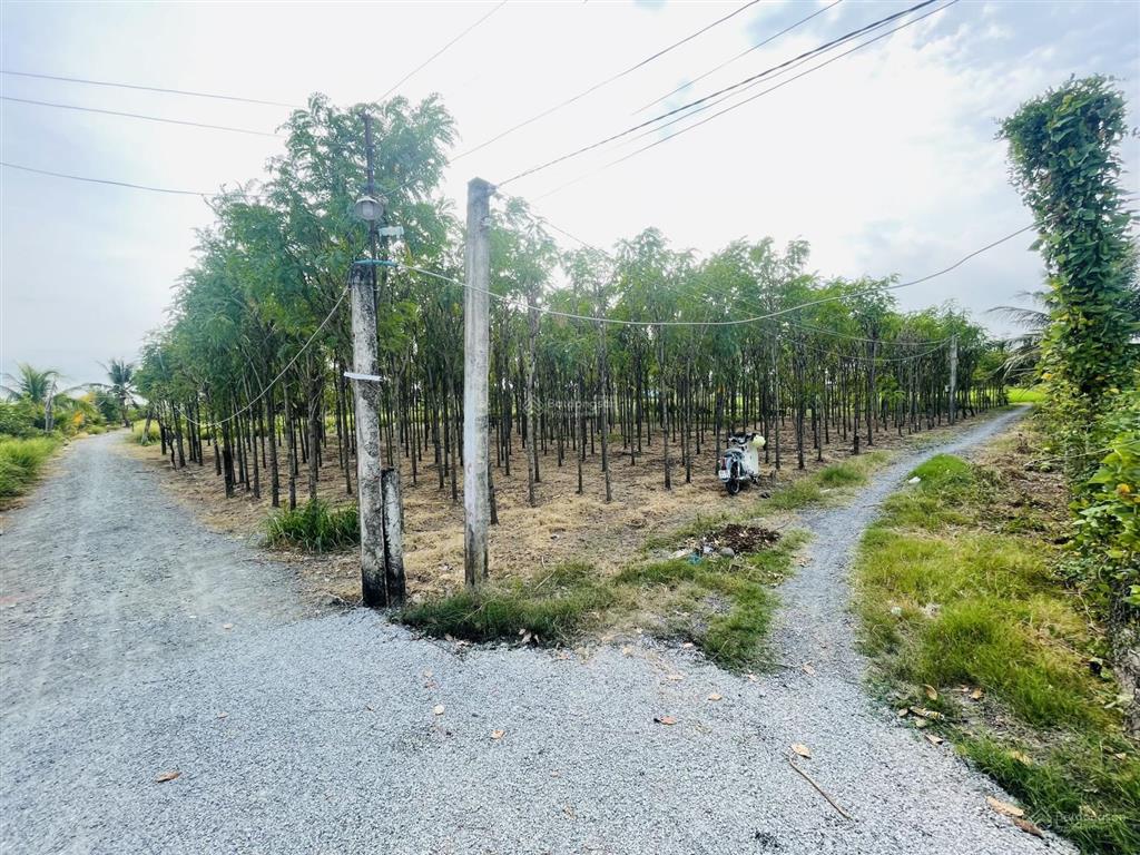 Nền đẹp 1600m2, đường ô tô tới đất