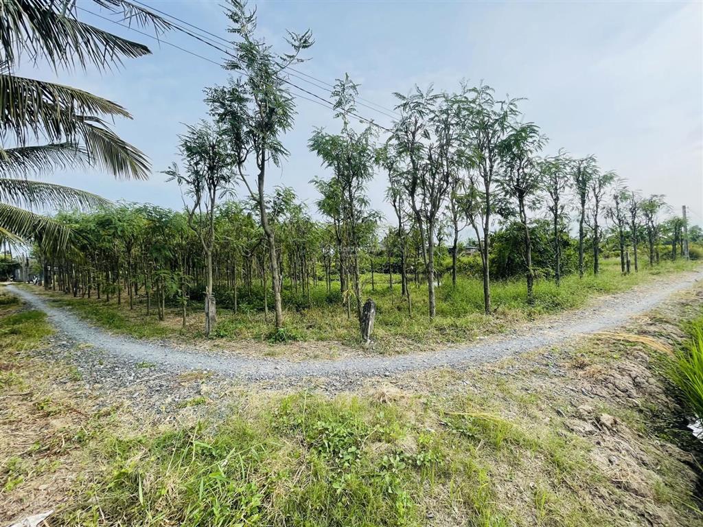 Nền đẹp 1600m2, đường ô tô tới đất