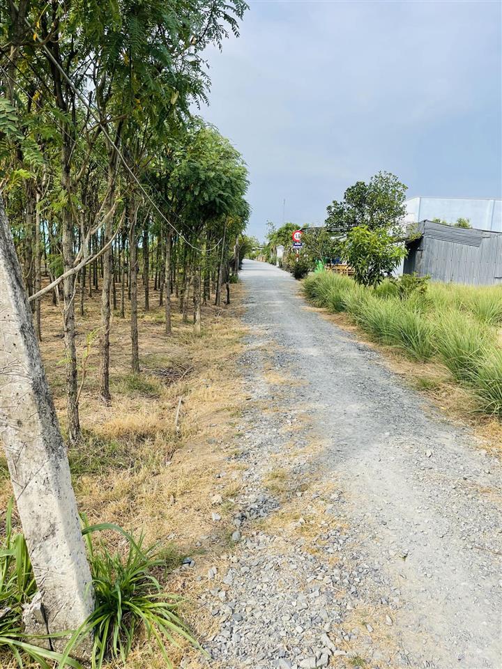Nền đẹp 1600m2, đường ô tô tới đất