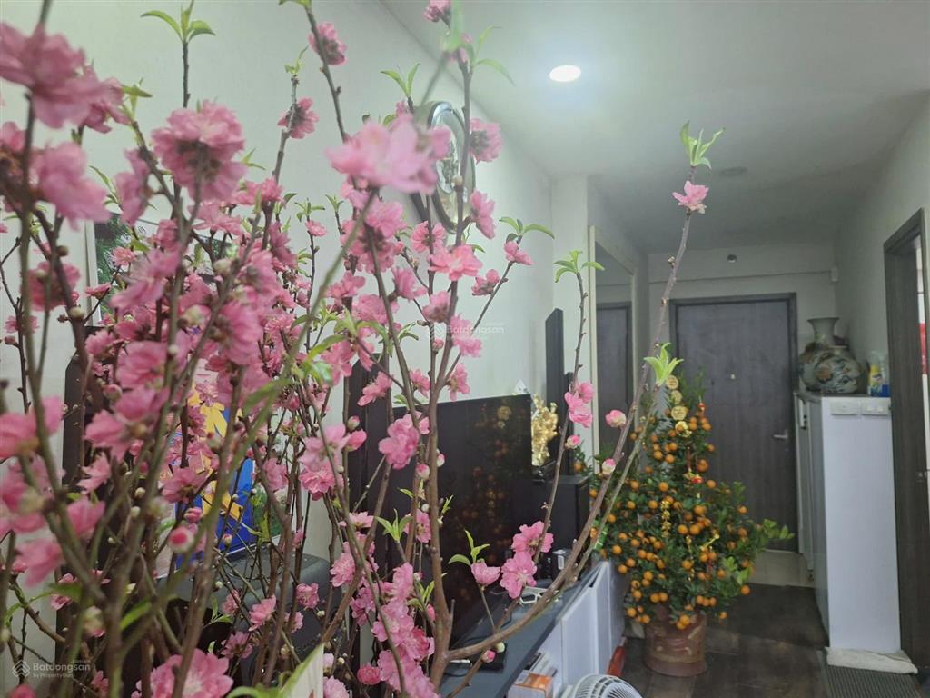 Bán căn hộ xuân mai riverside hà đông 76,4m² căn góc 2 phòng ngủ full nội thất, sổ đỏ chính chủ