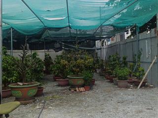 Bán đất đẹp tại đình phong phú, 8,2 tỷ, 83,6 m2, nhiều tiện ích