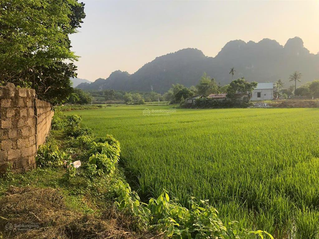 Bán đất thổ cư chính chủ thôn bót, xã phú thành, huyện lạc thủy, hòa bình.  0359 751 ***