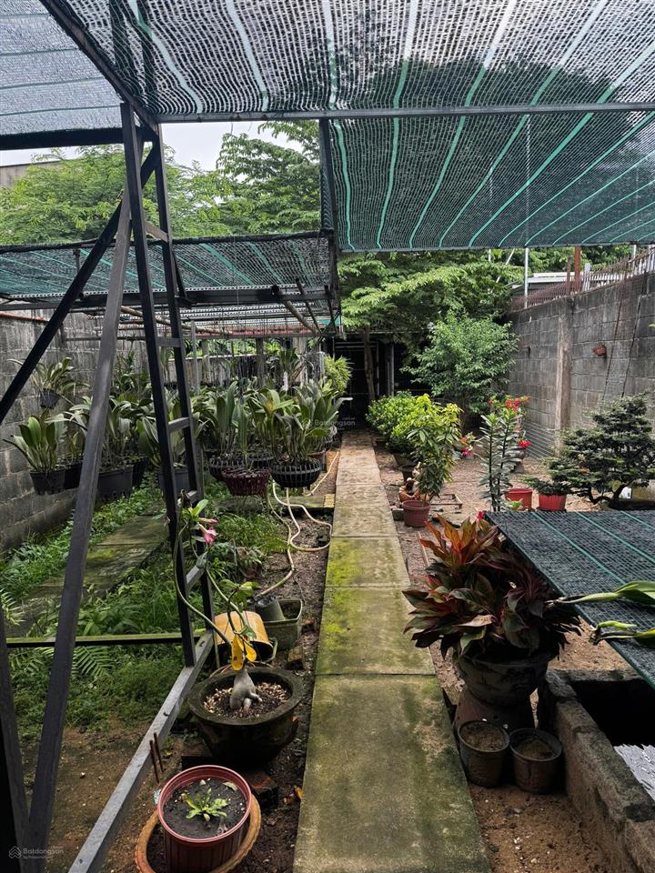 Nhà mặt tiền nb 311,2m2 (293m2 thổ cư) thới tam thôn 9, xã đông thạnh, tp.hcm