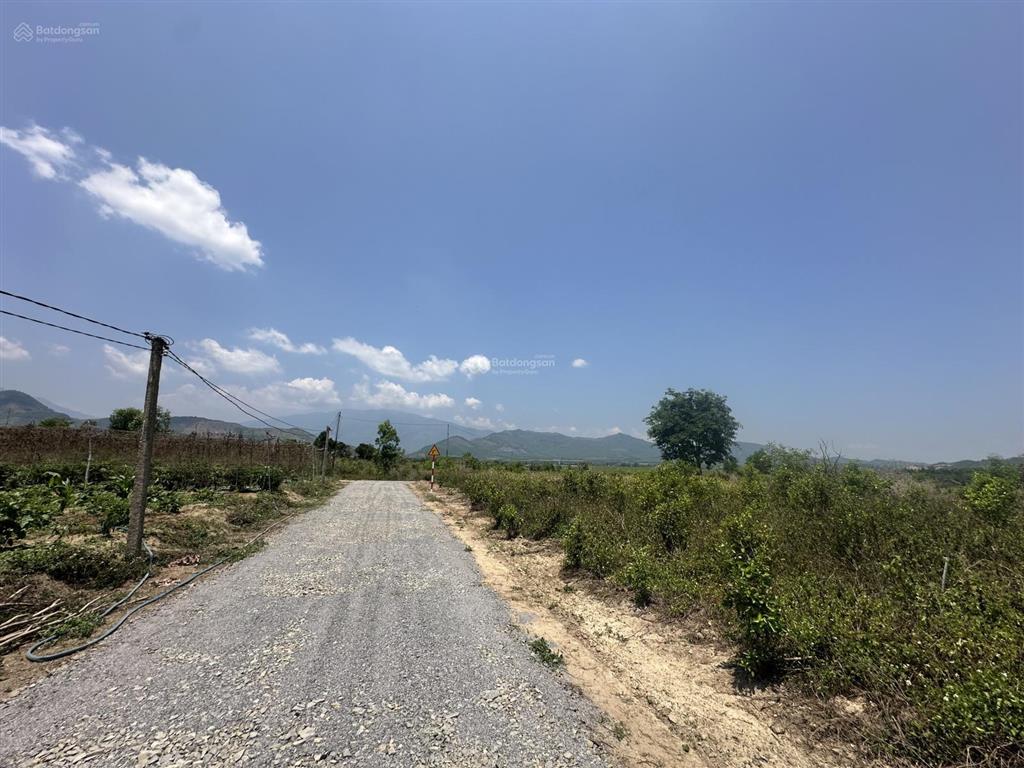 150.000 /m2  2.5ha quanh năm có nước thôn 4, ninh sơn, tx ninh hoà, khánh hoà
