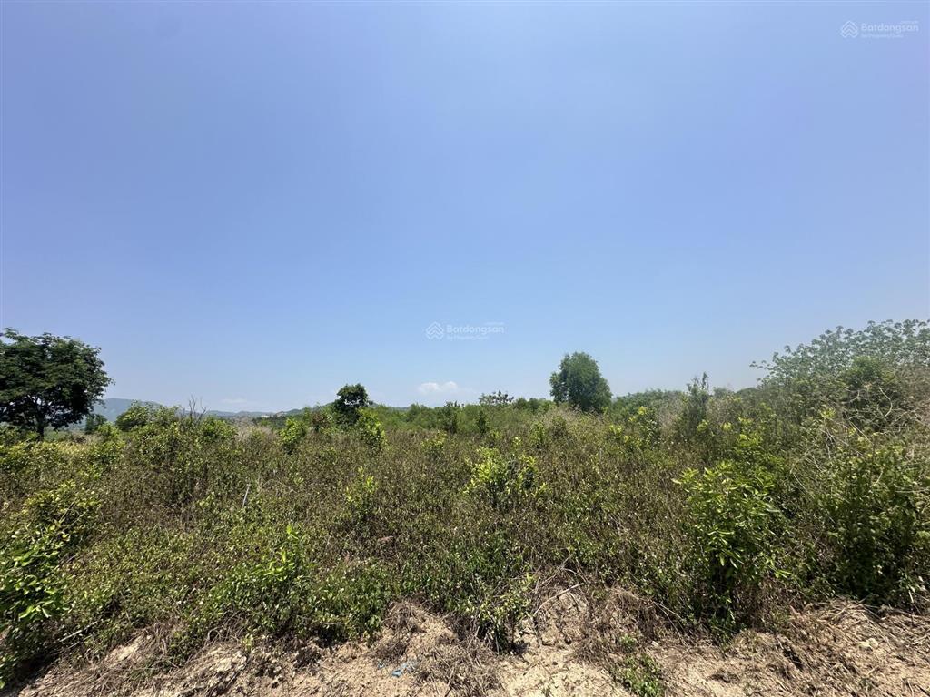 150.000 /m2  2.5ha quanh năm có nước thôn 4, ninh sơn, tx ninh hoà, khánh hoà