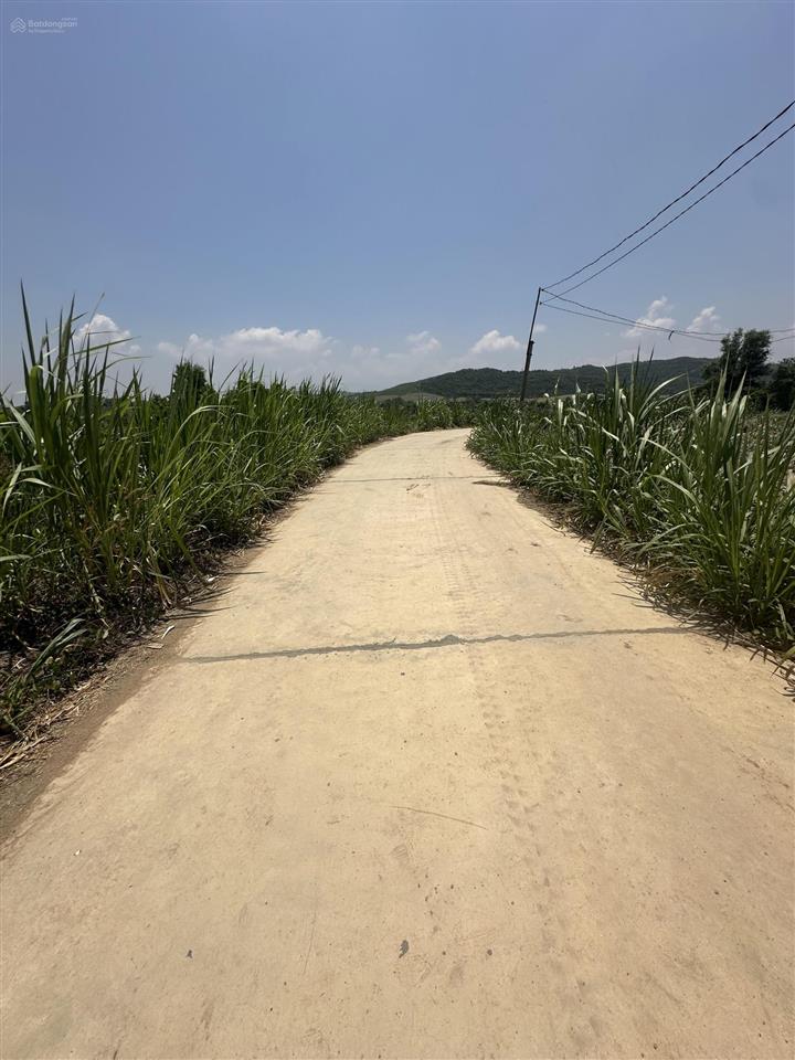 150.000 /m2  2.5ha quanh năm có nước thôn 4, ninh sơn, tx ninh hoà, khánh hoà