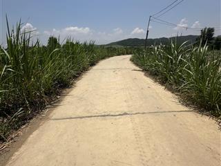 150.000 /m2  2.5ha quanh năm có nước thôn 4, ninh sơn, tx ninh hoà, khánh hoà