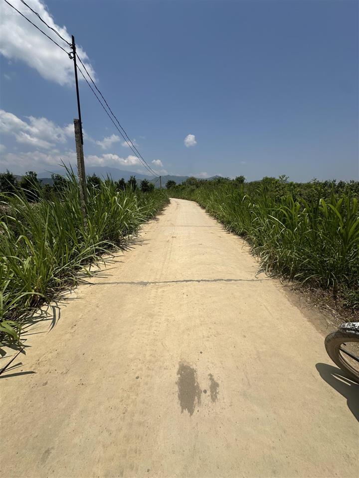150.000 /m2  2.5ha quanh năm có nước thôn 4, ninh sơn, tx ninh hoà, khánh hoà
