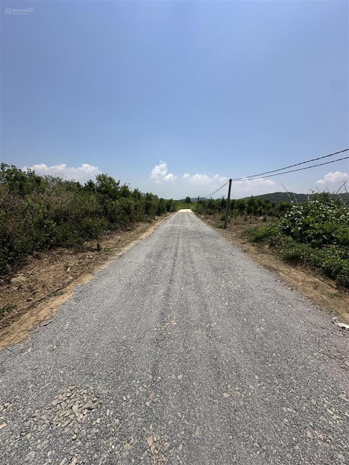 150.000 /m2  2.5ha quanh năm có nước thôn 4, ninh sơn, tx ninh hoà, khánh hoà