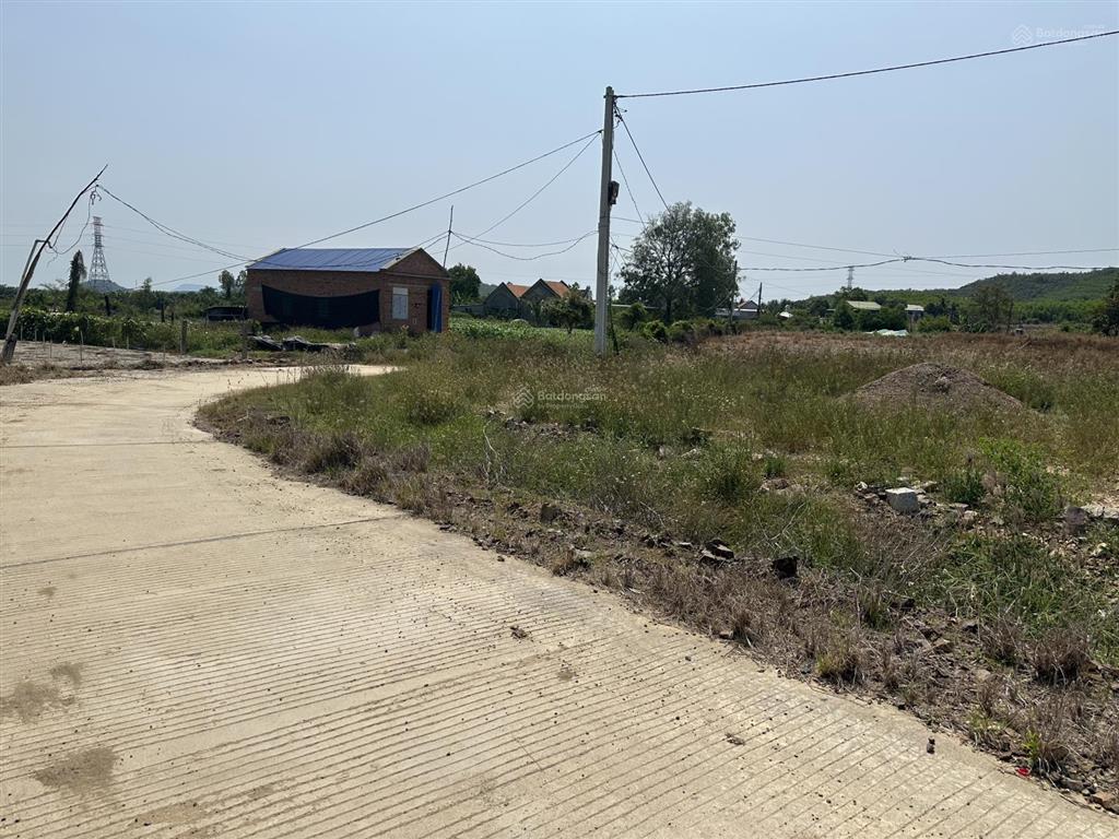 150.000 /m2  2.5ha quanh năm có nước thôn 4, ninh sơn, tx ninh hoà, khánh hoà