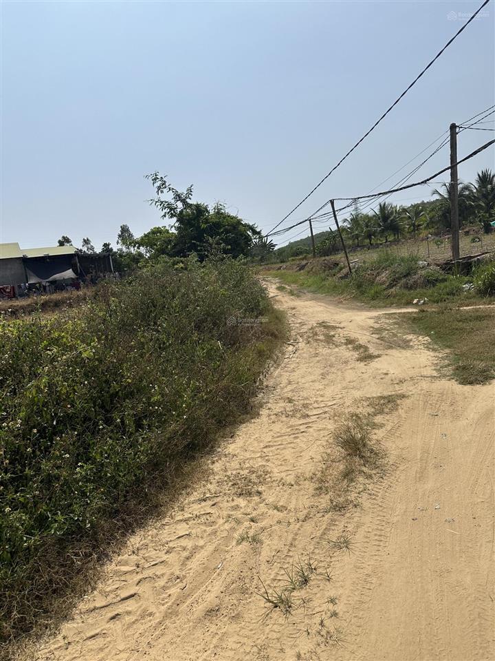 150.000 /m2  2.5ha quanh năm có nước thôn 4, ninh sơn, tx ninh hoà, khánh hoà