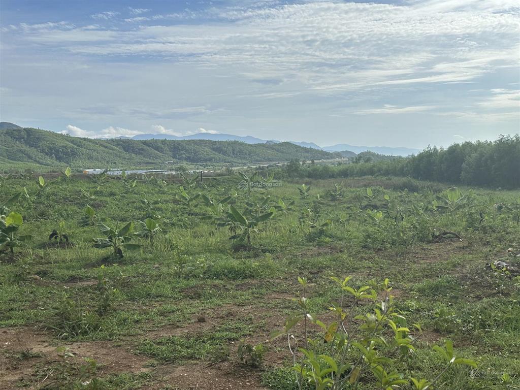 75.000 đ/m2 đất nn làm trang trại  5.5 ha tại bắc ninh hoà sát bên kcn dốc đá trắng, khánh hoà