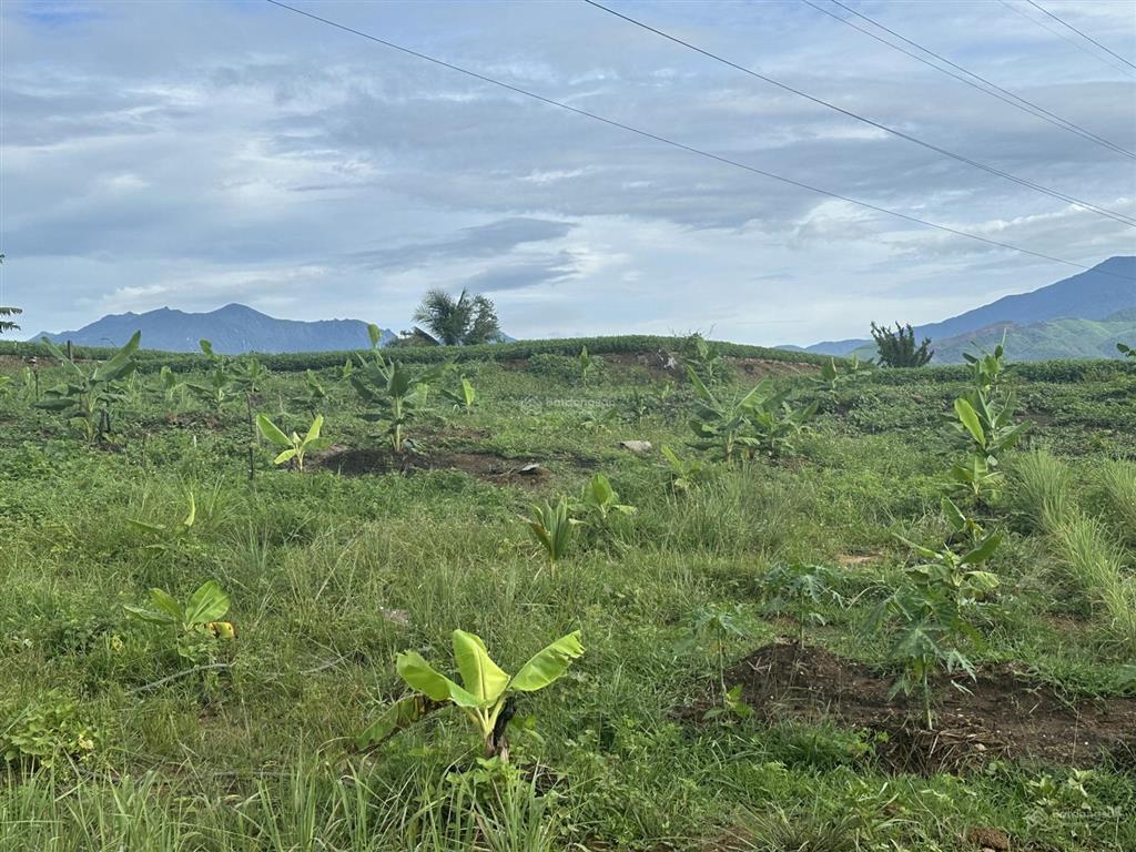 75.000 đ/m2 đất nn làm trang trại  5.5 ha tại bắc ninh hoà sát bên kcn dốc đá trắng, khánh hoà