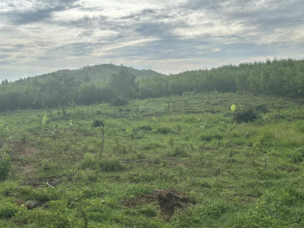 75.000 đ/m2 đất nn làm trang trại  5.5 ha tại bắc ninh hoà sát bên kcn dốc đá trắng, khánh hoà