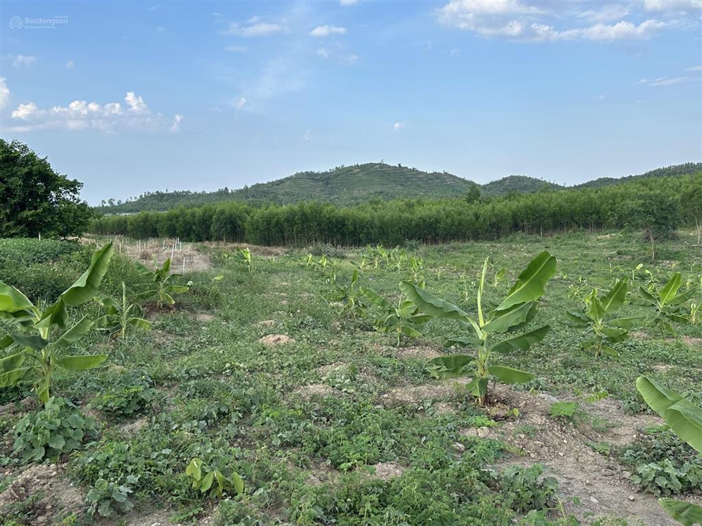 75.000 đ/m2 đất nn làm trang trại  5.5 ha tại bắc ninh hoà sát bên kcn dốc đá trắng, khánh hoà