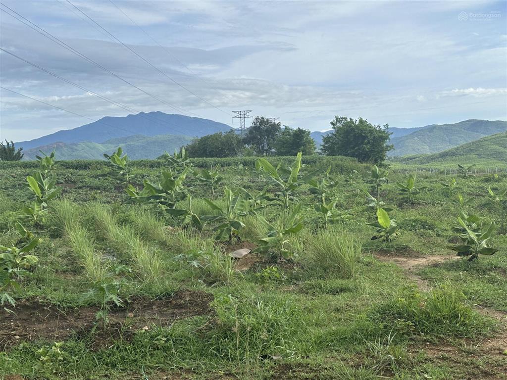 75.000 đ/m2 đất nn làm trang trại  5.5 ha tại bắc ninh hoà sát bên kcn dốc đá trắng, khánh hoà