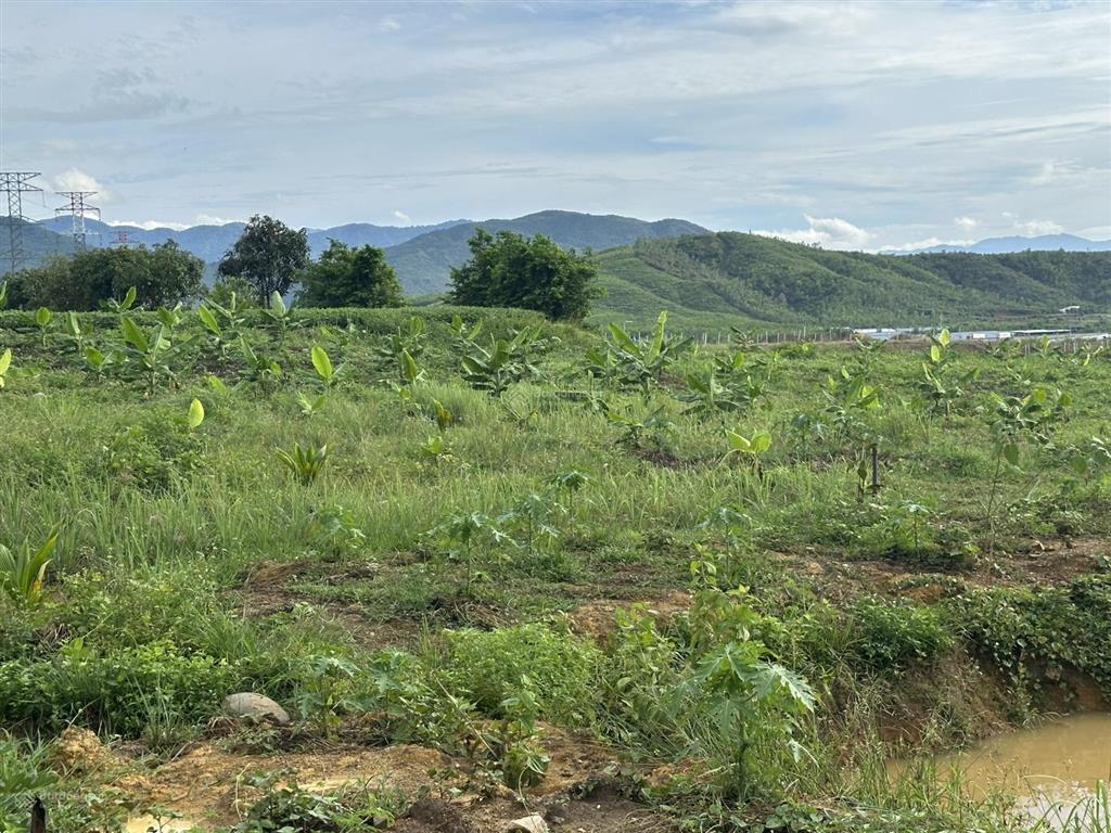75.000 đ/m2 đất nn làm trang trại  5.5 ha tại bắc ninh hoà sát bên kcn dốc đá trắng, khánh hoà