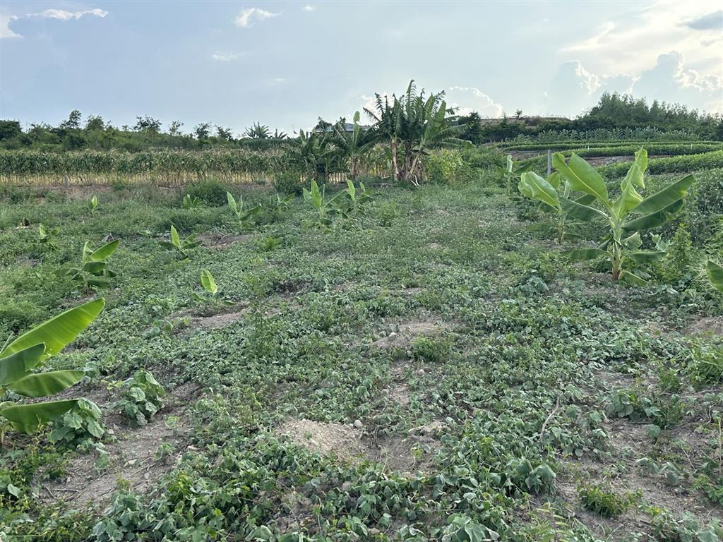 75.000 đ/m2 đất nn làm trang trại  5.5 ha tại bắc ninh hoà sát bên kcn dốc đá trắng, khánh hoà