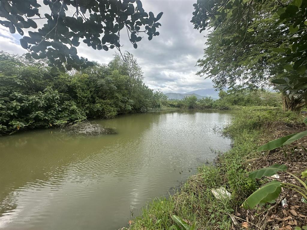 150.000d/m2  12ha đất trang trại, nước quanh năm, đầy đủ điện nước tại ninh sơn, bắc ninh hoà