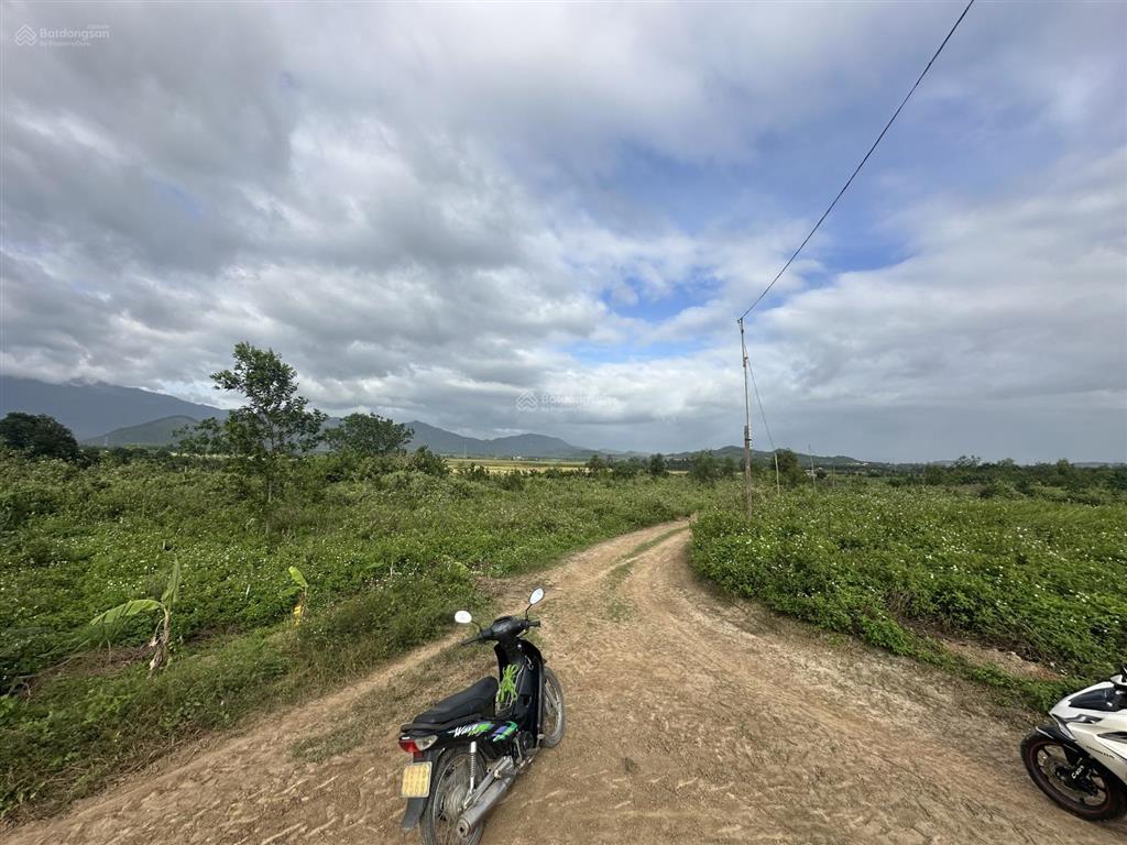 150.000d/m2  12ha đất trang trại, nước quanh năm, đầy đủ điện nước tại ninh sơn, bắc ninh hoà