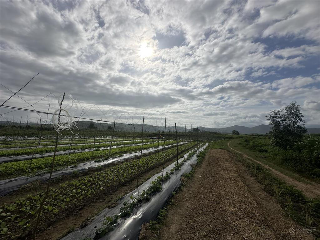 150.000d/m2  12ha đất trang trại, nước quanh năm, đầy đủ điện nước tại ninh sơn, bắc ninh hoà