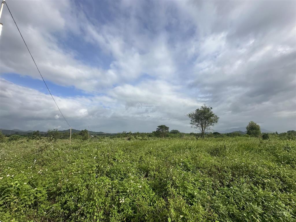 150.000d/m2  12ha đất trang trại, nước quanh năm, đầy đủ điện nước tại ninh sơn, bắc ninh hoà