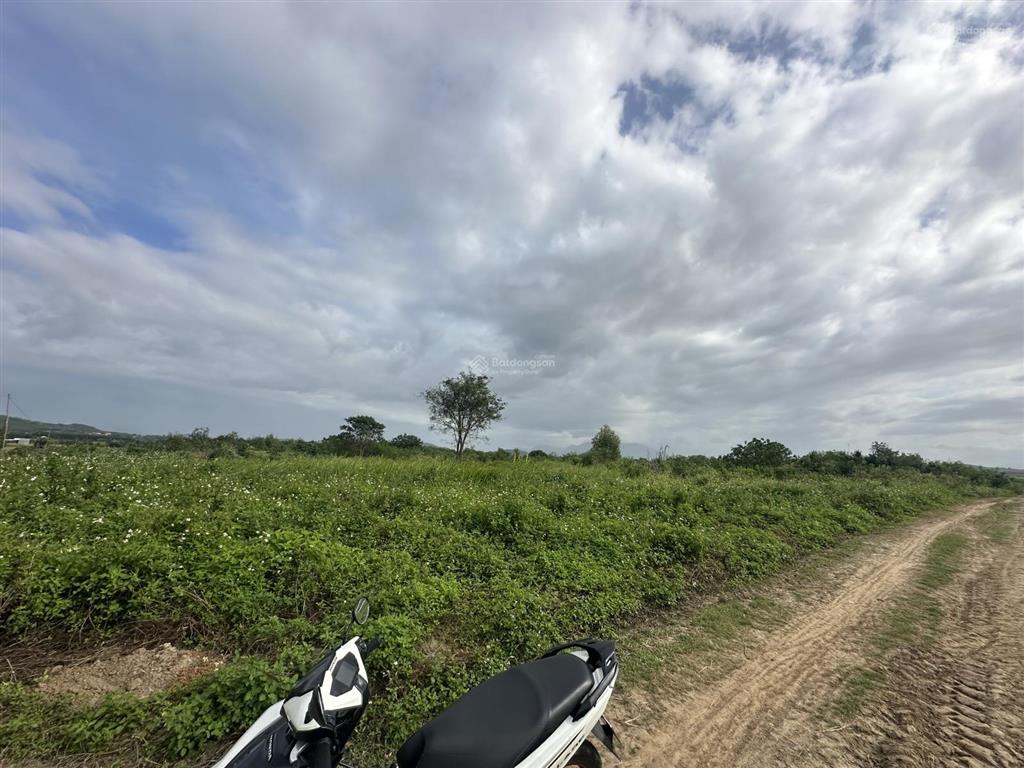 150.000d/m2  12ha đất trang trại, nước quanh năm, đầy đủ điện nước tại ninh sơn, bắc ninh hoà