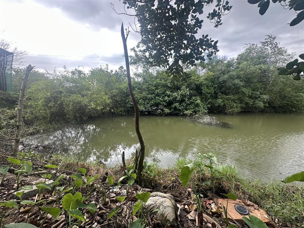 150.000d/m2  12ha đất trang trại, nước quanh năm, đầy đủ điện nước tại ninh sơn, bắc ninh hoà