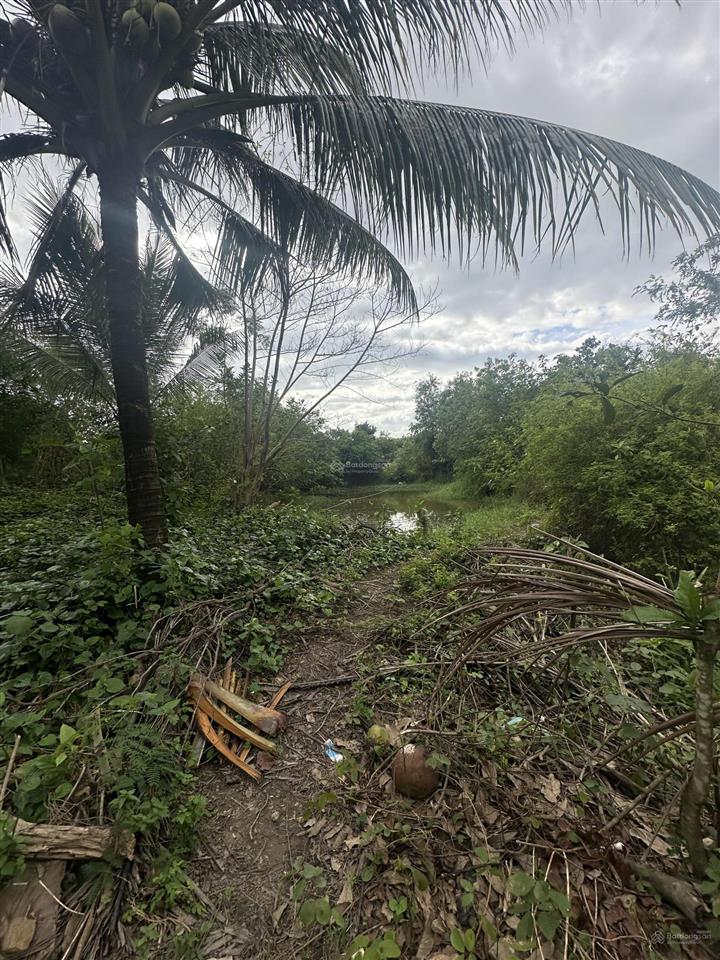 150.000d/m2  12ha đất trang trại, nước quanh năm, đầy đủ điện nước tại ninh sơn, bắc ninh hoà