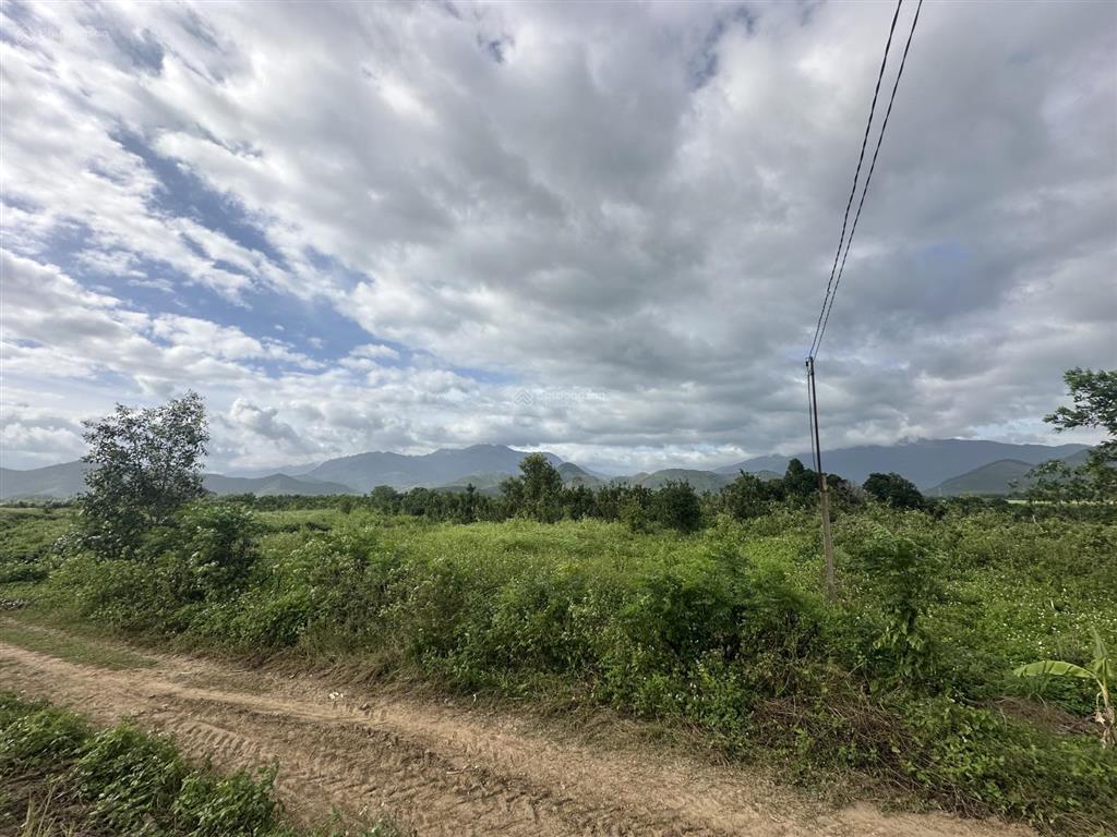 150.000d/m2  12ha đất trang trại, nước quanh năm, đầy đủ điện nước tại ninh sơn, bắc ninh hoà