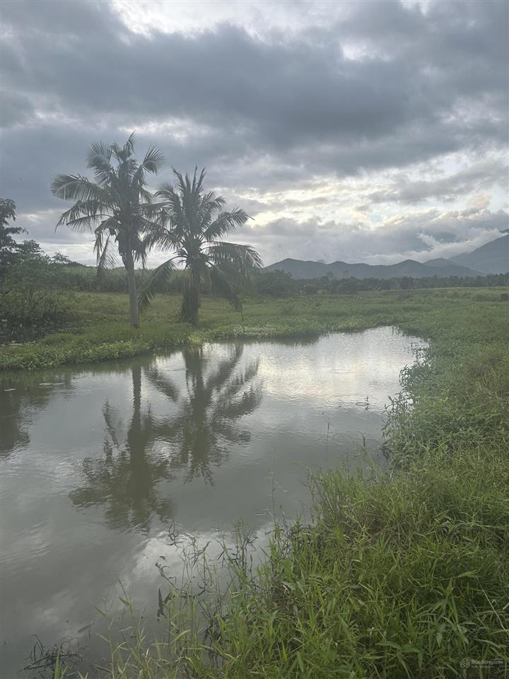 150.000d/m2  12ha đất trang trại, nước quanh năm, đầy đủ điện nước tại ninh sơn, bắc ninh hoà