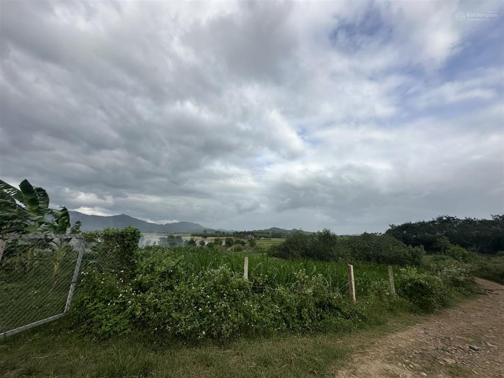 150.000d/m2  12ha đất trang trại, nước quanh năm, đầy đủ điện nước tại ninh sơn, bắc ninh hoà