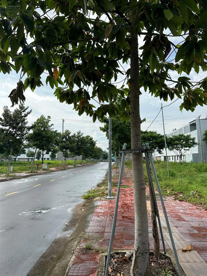 Bán đất nền vị trí vàng khu đô thị bàu xéo, mặt tiền quốc lộ 1a, pháp lý rõ ràng,  0937 352 ***