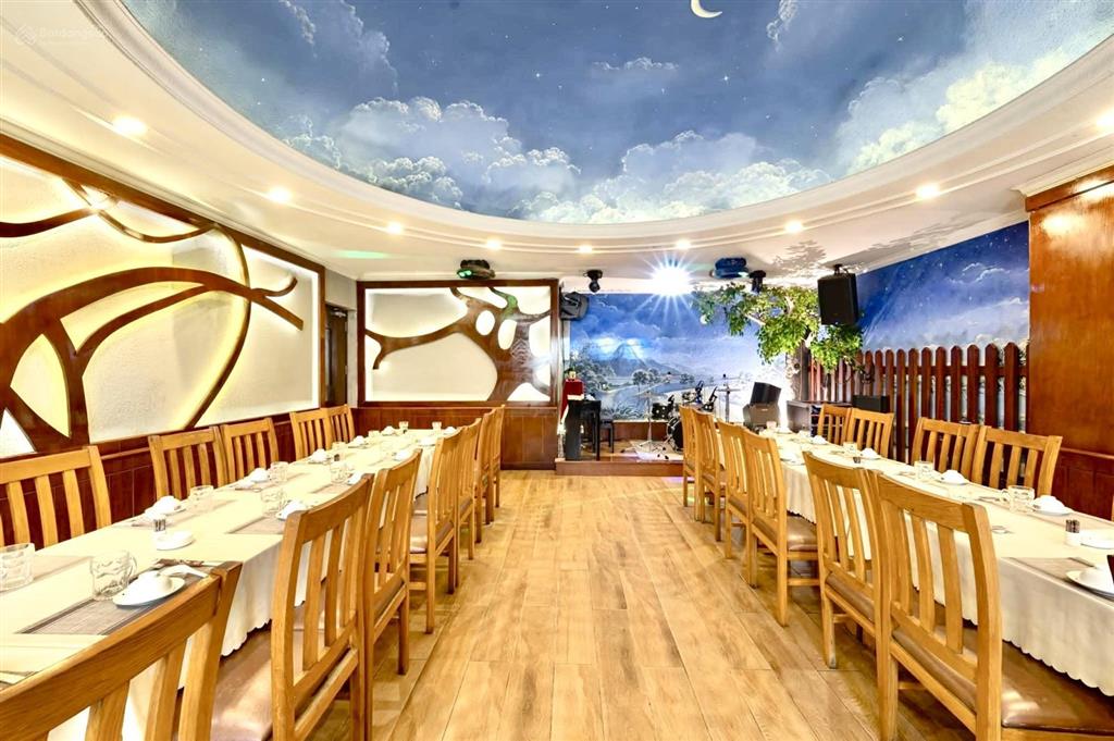 Cho thuê biệt thự trần quốc thảo, dtsd hơn 600m², quận 3