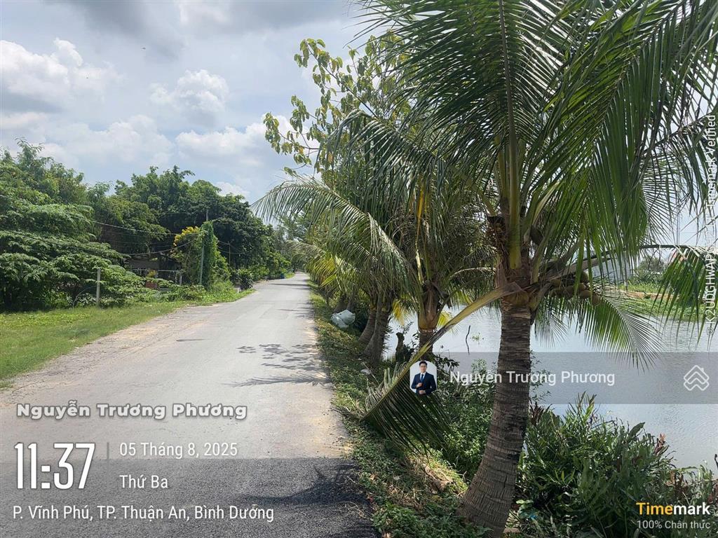 1531m2 có thổ cư đường bờ kênh sông đoạn khu biệt thự vĩnh phú  bệnh viện hạnh phúc  quốc lộ 13