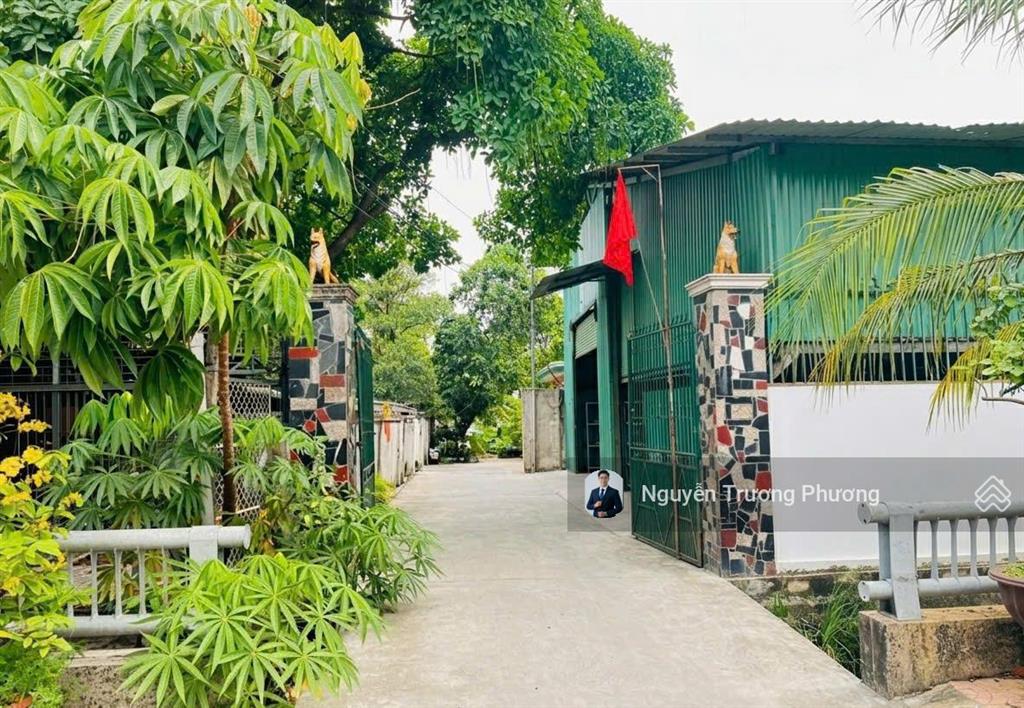 Hàng hiếm đất vĩnh phú 23 gần ql13 270m² ngang 14m tặng kho có sẵn, điện 3 pha, đang cho thuê