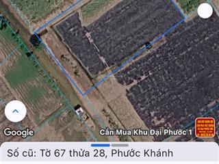 Cần bán gấp 4000m2 đất lúa ở xã đại phước