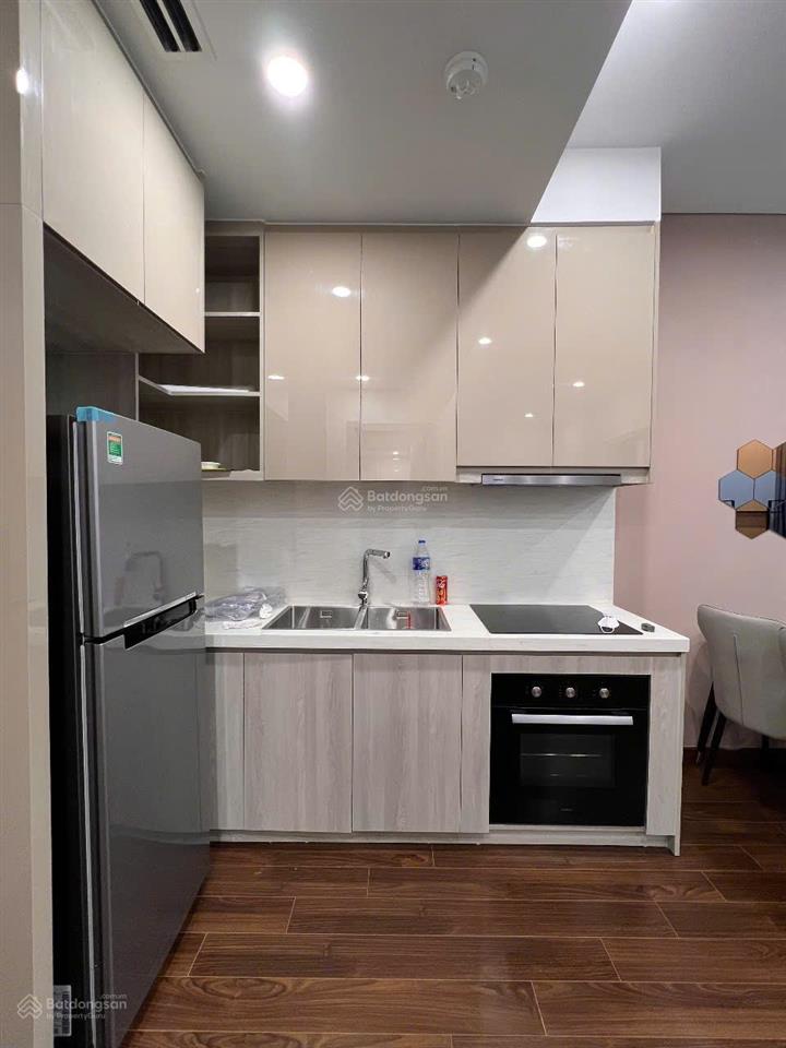 Thuê căn hộ 1n+1 phân khu masteri cao cấp tại kđt smart city  giá chỉ 10tr/tháng