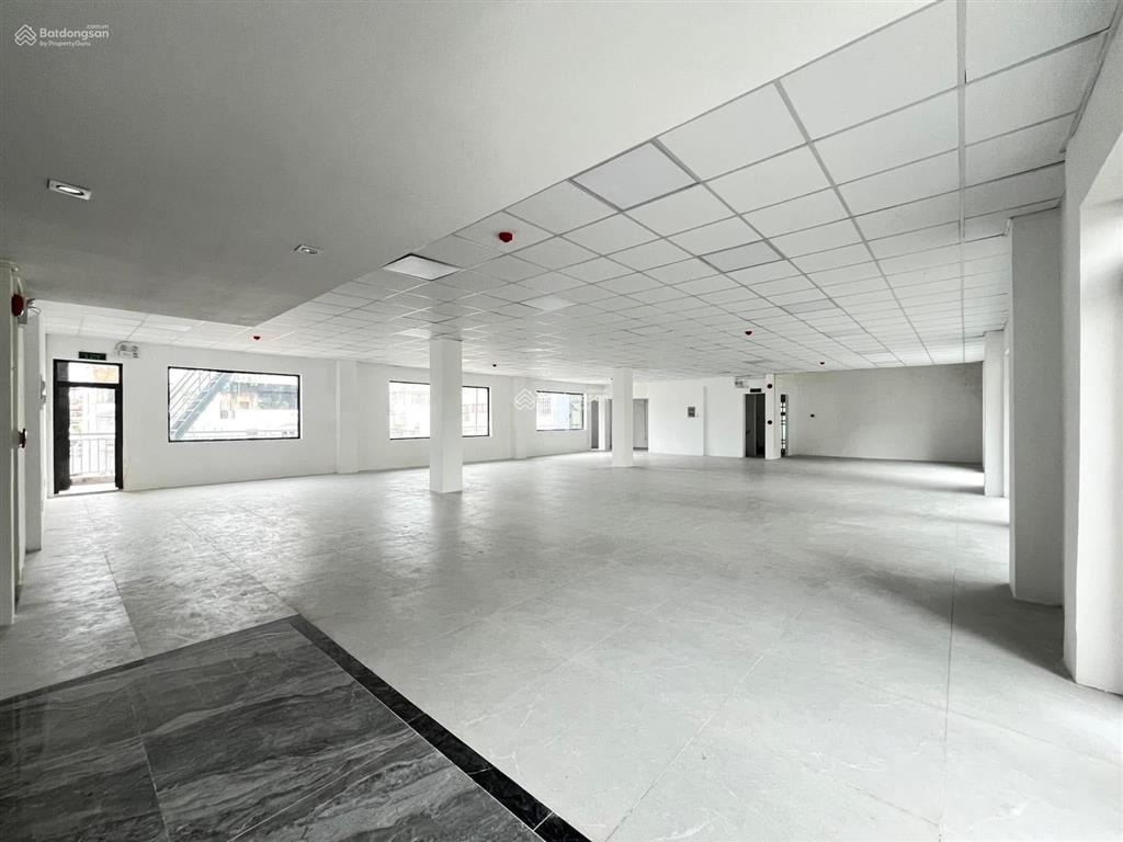 Tòa nhà văn phòng đường trường sa phường 2. dt 13x15m. hầm, trệt, 6 lầu. pccc sàn trống suốt
