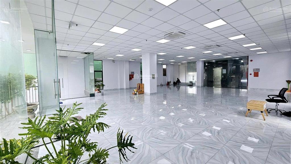Building cho thuê đường trương công định. ngang 11m. hầm, trệt, 5 lầu. sàn suốt.