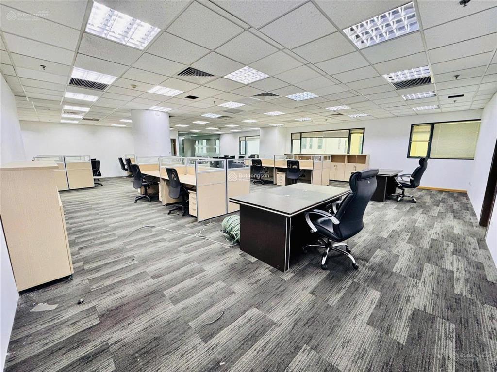 Building cho thuê mặt tiền lê trung nghĩa, khu vip k300. dt 9x18m. 1 hầm  6 tầng. pccc đầy đủ