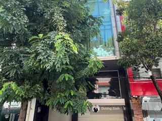 Cho thuê nguyên tòa hẻm 10m đường cộng hòa. dt 6,5x20m. 1 hầm, lửng, 4 lầu. thang máy