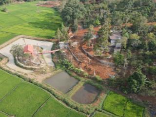 Chính chủ bán mảnh đất 135m² phạm ngũ lão kéo dài, xã cư ebur giá chỉ 2tr/m2