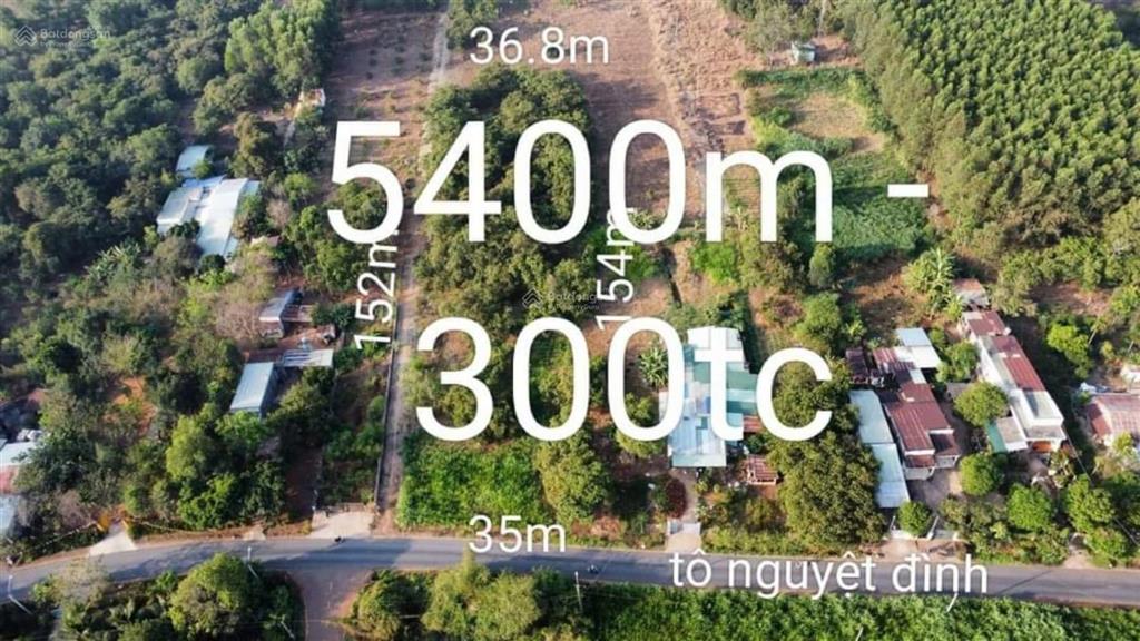 Bán 5400m2 đất đường tô nguyệt đình, p. tân thành, tp. hcm