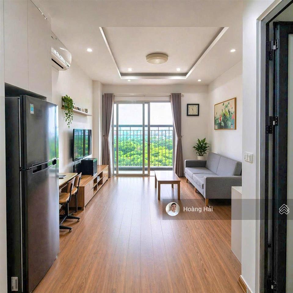 Bán căn hộ chung cư ecohome phúc lợi, 2,99 tỷ, 46 m², 2pn, 1wc, đầy đủ nội thất