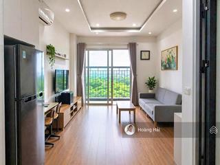 Bán căn hộ chung cư ecohome phúc lợi, 3,15 tỷ, 46 m2, 2pn, 1wc, đầy đủ nội thất