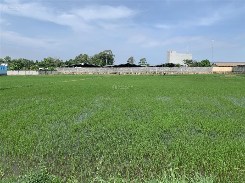 Chính chủ bán diện tích đất lớn đối diện công viên bàu thành  liền kề cây xăng đông nam  ql 55
