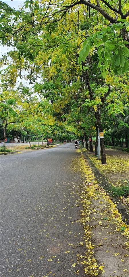 Bán nhà kđt vân canh  view vườn hoa, đầu tư, cho thuê, ở sướng, dt 100 m2, mt 5m, giá 16.8 tỷ